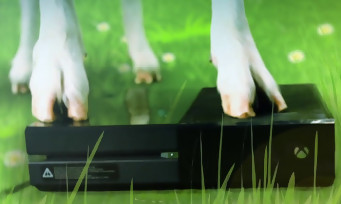 Goat Simulator arrive sur Xbox One et s'offre un live action trailer