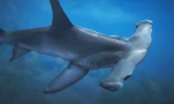 GTA 5 : on peut aussi incarner un requin, un orque, un dauphin ou un poisson