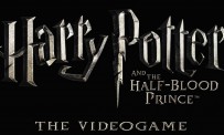 test harry potter 6 prince sang mele