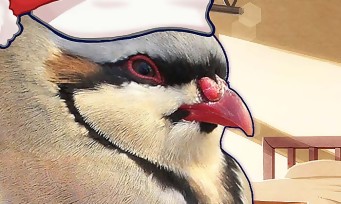 Hatoful Boyfriend Holiday Star : on pourra encore draguer des oiseaux