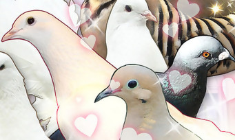 Hatoful Boyfriend : le jeu qui vous incite à draguer des pigeons