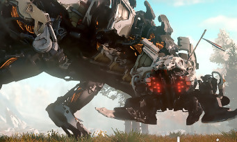 Horizon Zero Dawn : les développeurs prennent la parole en vidéo