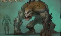 Kingdoms of Amalur Reckoning s'illustre