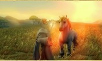 le Seigneur des Anneaux : la quête d'Aragorn - Mode coop sur Wii