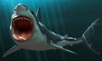 Un site pour Jaws