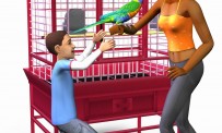Test Les Sims 2 : Animaux & Cie