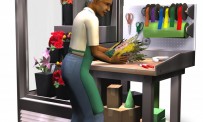 21 screens des Sims 2 : La Bonne Affaire