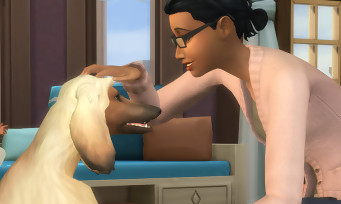 Les Sims 4 Chiens et Chats : un trailer nous montre comment créer le compagnon de ses rêves