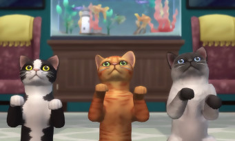 Jaquettes Les Sims 4 Chiens Et Chats