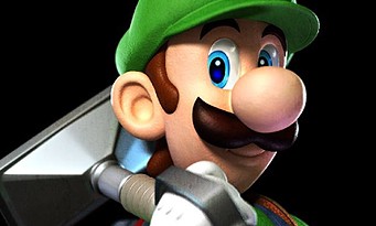 Nintendo : 30 ans de Luigi en une seule image