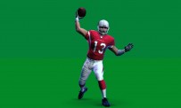 Madden NFL 09 : touchdown !