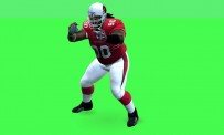 Madden NFL 09 : les premières images