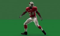 Des images pour Madden NFL 09