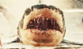 Man Eater : un trailer acéré pour ce jeu où l'on incarne un requin avide de chair humaine