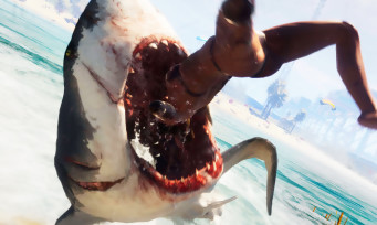 Maneater : le requin viendra mordre sur PS5 et Xbox Series X, 4K et ray tracing au programme