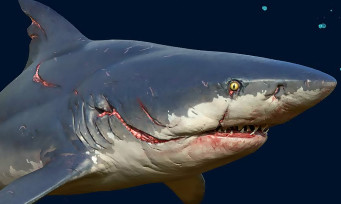 ManEater: a DLC is confirmed, new killer sharks?