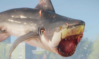 Maneater : le jeu de requins s'offre une Apex Editon, voici les ajouts et la date de sortie