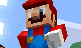 Minecraft Wii U : un trailer et des images pour annoncer le pack Super Mario Mash-Up