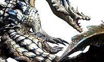 Monster Hunter 4 : les premières images