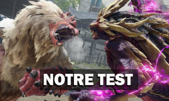 Monster Hunter Rise: Requisitos da versão para PC foram revelados - Combo  Infinito