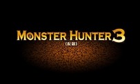 GC 09 > Monster Hunter 3 s'affiche