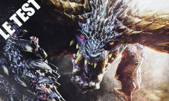 Test Monster Hunter World (PS4) : la chasse renouvelée et sublimée