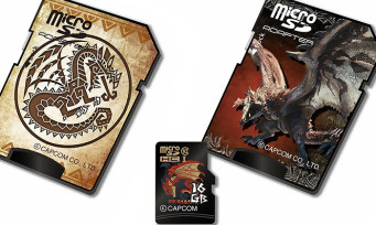 Monster Hunter : des cartes microSD collector aux couleurs de la série arrivent au Japon !