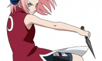 Naruto Path of The Ninja 2 daté aux USA