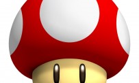 New Super Mario Bros. Wii : le million