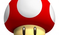 New Super Mario Bros. Wii : le million