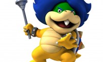New Super Mario Bros. Wii : des images