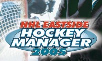 Le hockey selon Sega