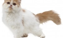 Nintendogs + Cats : Caniche Toy
