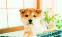 Nintendogs en artworks