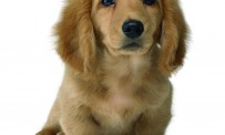 Nintendogs se précise