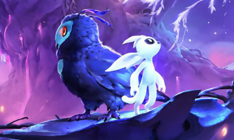 Ori and the Will of the Wisps : la sortie du jeu repoussée, un nouveau trailer pour se consoler