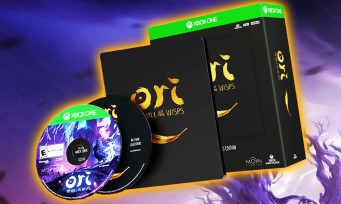 Ori and the Will of the Wisps : découvrez la superbe édition collector, les précommandes sont ouvertes