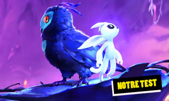 Test Ori and the Will of the Wisps : le retour du plus beau Metroidvania