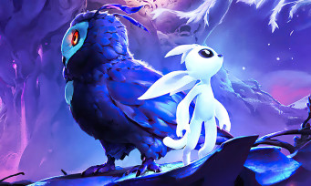 Ori and the Will of the Wisps: almost 3 million registered players, it's a success