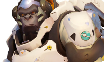 Overwatch : une infographie pour faire le compte des 2 ans passés, et les stats sont folles