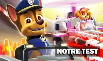 Paw Patrol : La Pat'Patrouille en mission sur PC 