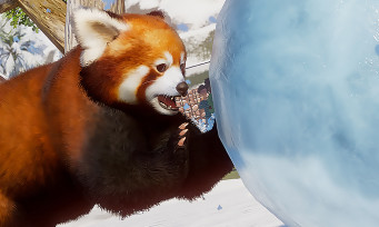 Planet Zoo : le pack Arctique en approche, voilà ce qu'il contient