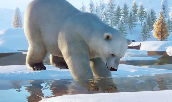 Planet Zoo : le pack Arctique est disponible sur PC, voilà le trailer de lancement