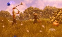 Rag Doll Kung Fu annonc