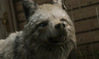 Red Dead Online : le coyote laiteux légendaire fait son apparition, des réductions en pagaille