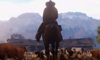 Red Dead Redemption 2 : une première image du jeu in-game a semble-t-il fuité...