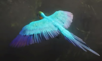 Red Dead Redemption 2 : on peut incarner les oiseaux (perroquet, vautour, aigle) grâce à un mod
