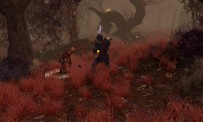 Sacred 2 Ice & Blood : nouvelle vidéo