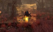Sacred 2 : un trailer pour Ice & Blood