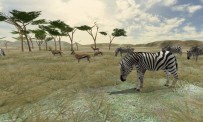 Safari Photo en Afrique : le trailer